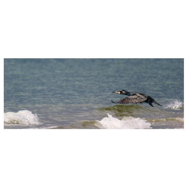 PHOTO84, CLUB, 84 , LUBERON